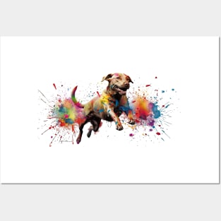 Paint Ball Dog Posters and Art